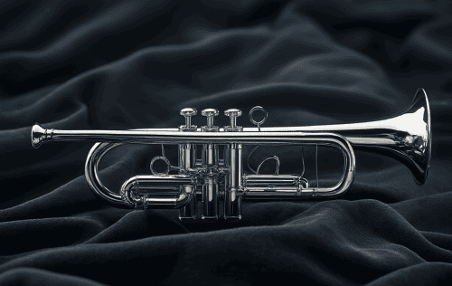 Aluminium Trompete Test: Die 5 besten (Bestenliste)